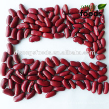 Especificação de preço de lentilhas vermelhas